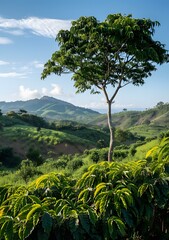 Wall Mural - Green Mountains with a Single Tree in the Foreground