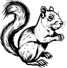 Hand drawn squirrel clipart design illustration