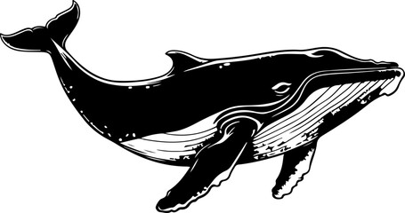 Wall Mural - Whale drawing clipart design illustration