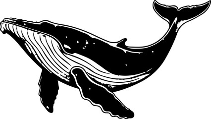 Wall Mural - Whale drawing clipart design illustration