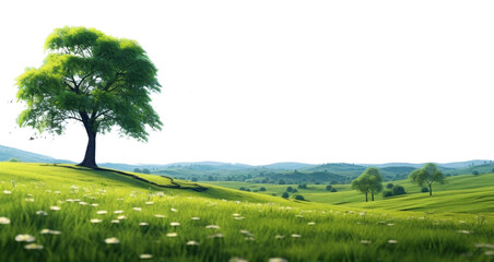 Sticker - PNG  Grassland summer landscape outdoors.