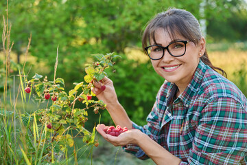 Wall Mural - Smiling woman in garden with ripe raspberries near bush