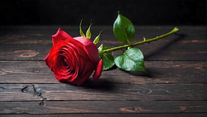 red beautiful rose on a dark wooden table