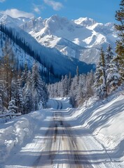 Wall Mural - The road through the snow-covered forest