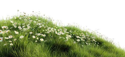 Canvas Print - PNG Hill meadow grass countryside