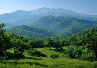 Canvas Print - Green mountain range landscape