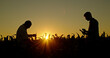 © StockMediaSeller - Two farmers working in a field at sunset, inspecting plants and using a tablet for data analysis.