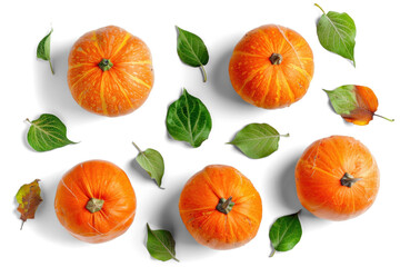 Wall Mural - Pumpkins and Leaves on Transparent Background