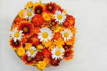 Wall Mural - bright flowers of calendula, marigold (tagetes), chamomile in plate on white wooden table. Summer floral background. healing flower collection. top view