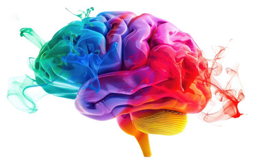 Poster - PNG  Colorful brain with abstract smoke