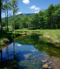 Sticker - A beautiful landscape with a river running through it