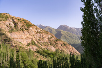 A mountain range with a clear blue sky and trees in the foreground