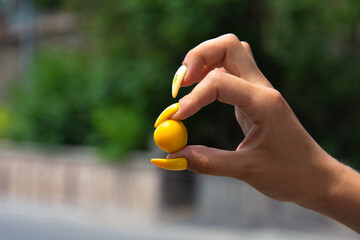 Summer and vacation. A woman's hand holds a small fruit.