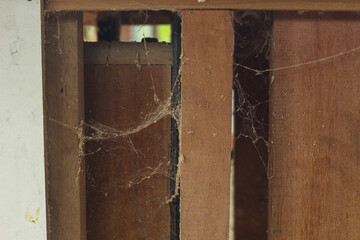 nest of chopped wood powder under the wood cutting table