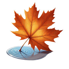 Wall Mural - A illustration of an orange maple leaf with detailed textures, resting on a small puddle of water on a transparent background