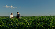 © StockMediaSeller - Father and son farmers standing in a beautiful cornfield, working with a laptop and tablet. Integrating technology in their family farm