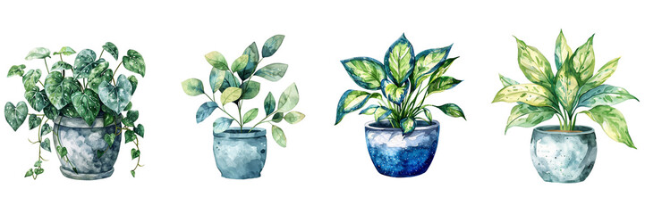 Wall Mural - Watercolor houseplant isolated on transparent png background