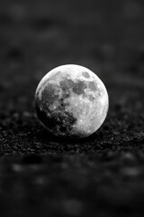  A monochrome image of a complete moon against the night sky, framed by a modest section of grass in the foreground