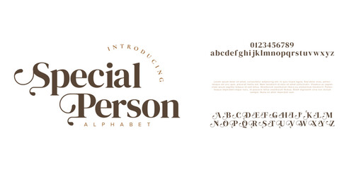 Wall Mural - Special Person fashion wedding logo font alphabet minimal modern fonts for logo design