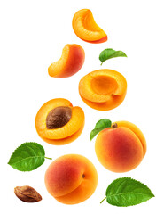 Wall Mural - set of whole apricots, halves and apricot slices with leaves isolated on a transparent background.