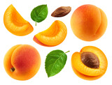 Set of whole apricots, halves and apricot slices with leaves isolated on a transparent background.