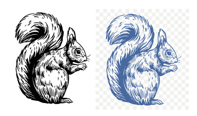 Wall Mural - squirrel sketch, hand drawn, vector illustration, black outline