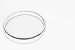 © MM - Medical round glass or Petri dish on a light background