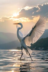 Canvas Print - A large white bird perched on the surface of the water, serene and majestic