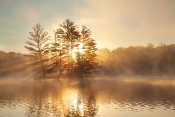 Wall Mural - small island with pine trees fog a loon and sunburst at dawn on a northern minnesota lake during sum