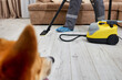 © Aleksandr - Adorable corgi dog attentively watches a professional cleaner as they skillfully mop a shiny laminate floor using a steam mop, creating a clean and fresh living space in a cozy home.