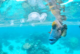 great barrier reef