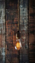 Vintage incandescent light bulb hanging against a rustic wooden background