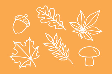 set of autumn symbols, white outline oak, maple, chestnut, rowan leaf, mushroom, acorn, set of fall decorative drawing clip-art, doodle vector elements, orange background