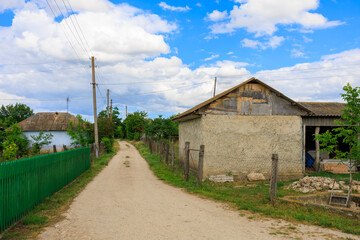 Wall Mural - A dirt road with a green fence and a house with lot of birds flying around it