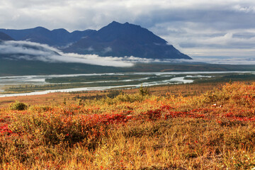 Canvas Print - Mountains in Alaska