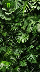 Wall Mural - Lush tropical foliage with various green leaves, nature background. Botanical beauty and serenity concept