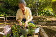 © wavebreak3 - Gardening outdoors, mature woman planting seedlings in pots with watering can nearby