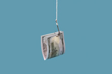 Money, Fish, Fishing, Hook, Cash, Free Stock Photo - Public Domain Pictures Money, Fish, Fishing, Hook, Cash, Free Stock Photo - Public Domain Pictures