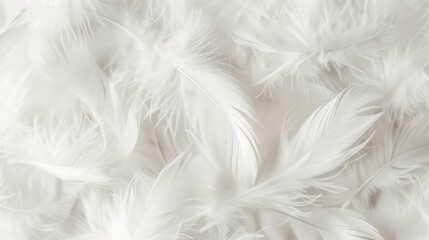 Wall Mural - White color soft feathers background. Generative AI