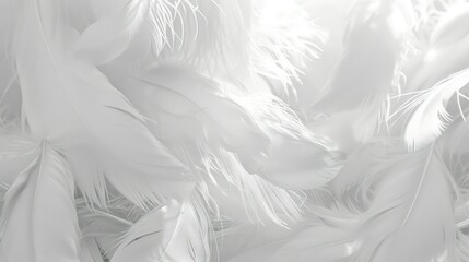 Wall Mural - White color soft feathers background. Generative AI