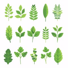 A simple vector icon illustration depicting the group of herb items at center for a website isolated white background