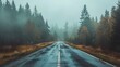 © anang - Asphalt road passes through dense forest covered in fog.