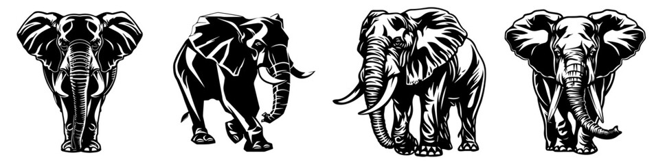 Poster - Black and white sketch of elephant 