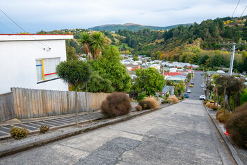 Poster - Steepest Street in the World - Dunedin - New Zealand