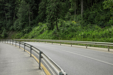 Wall Mural - Asphalt road in forest on summer day