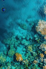 Wall Mural - Aerial view of a vast coral reef system, vibrant colors and textures visible beneath crystal-clear water