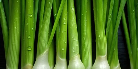 Wall Mural - Fresh Green Onions with Dew Drops, A close-up of fresh green pelager vegetable celery