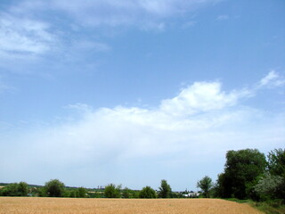 Panorama of the boundless blue sky above the gold wheat fields.