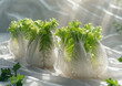 © Micro - a bunch of lettuce wrapped in plastic