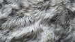 © Valerii - fur dog skin wolf animal hair bear white texture fabric pattern faux brown grey cat coat background fox  macro carpet hairy wallpaper closeup fluffy detail winter black wild